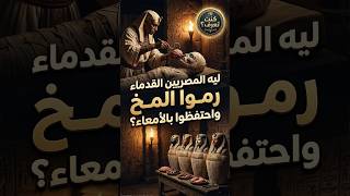 سر المخ الثاني : ليه المصريين القدماء رموا المخ واحتفظوا بالأمعاء؟