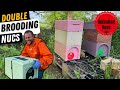 Double brooding nucs how to produce unlimited bees