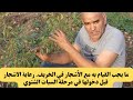 ما يجب القيام به مع الأشجار في الخريفرعاية الاشجار قبل دخولها في مرحلة السبات الشتوي  mp3