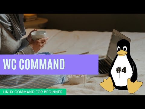 wc command in linux