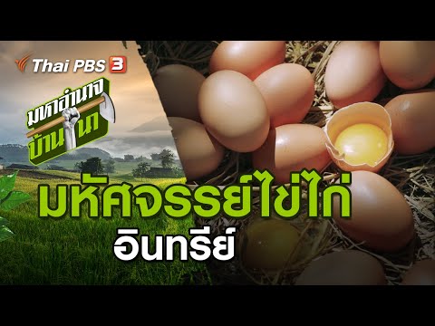 มหัศจรรย์ไข่ไก่ : มหาอำนาจบ้านนา (19 ก.ค. 63)