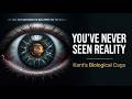 Why Perception is Fake | Kant &amp; Why Nothing is Actually Real