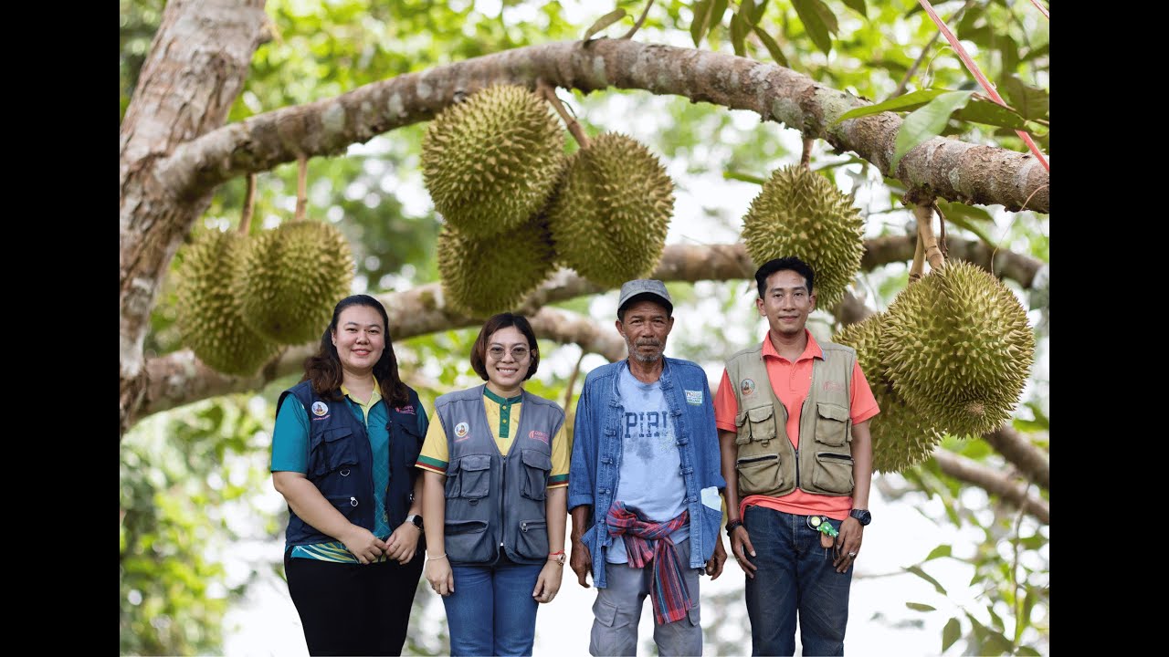 ทุเรียนอินทรีย์