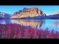 ال أ خ ل اء ي و م ئ ذ ب ع ض ه م ل ب ع ض ع د و إ ل ا ال م ت ق ين القارئ عبدالرحمن السويد