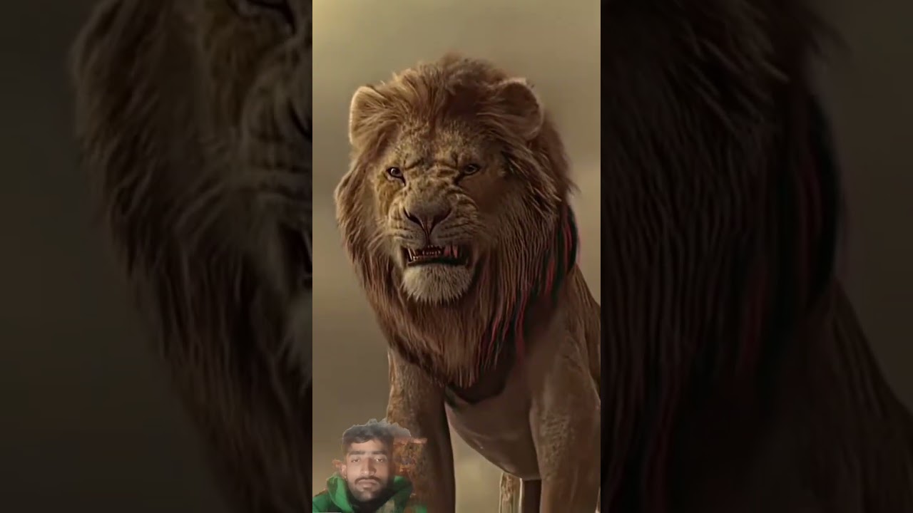 simba has returned and he wants to protect his family  