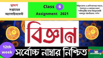 Class 6 Science 12th Week Assignment Answer 2021 || Class Six Biggan Assignment Answer 12th Week