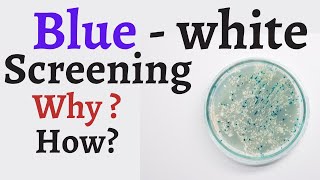 Blue white screening method | Lacz blue white screening explained | blue white screening principle