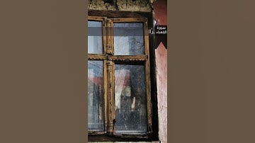 من سورة [الإسراء: ٢٣-٢٤] بصوت ماهر المعيقلي