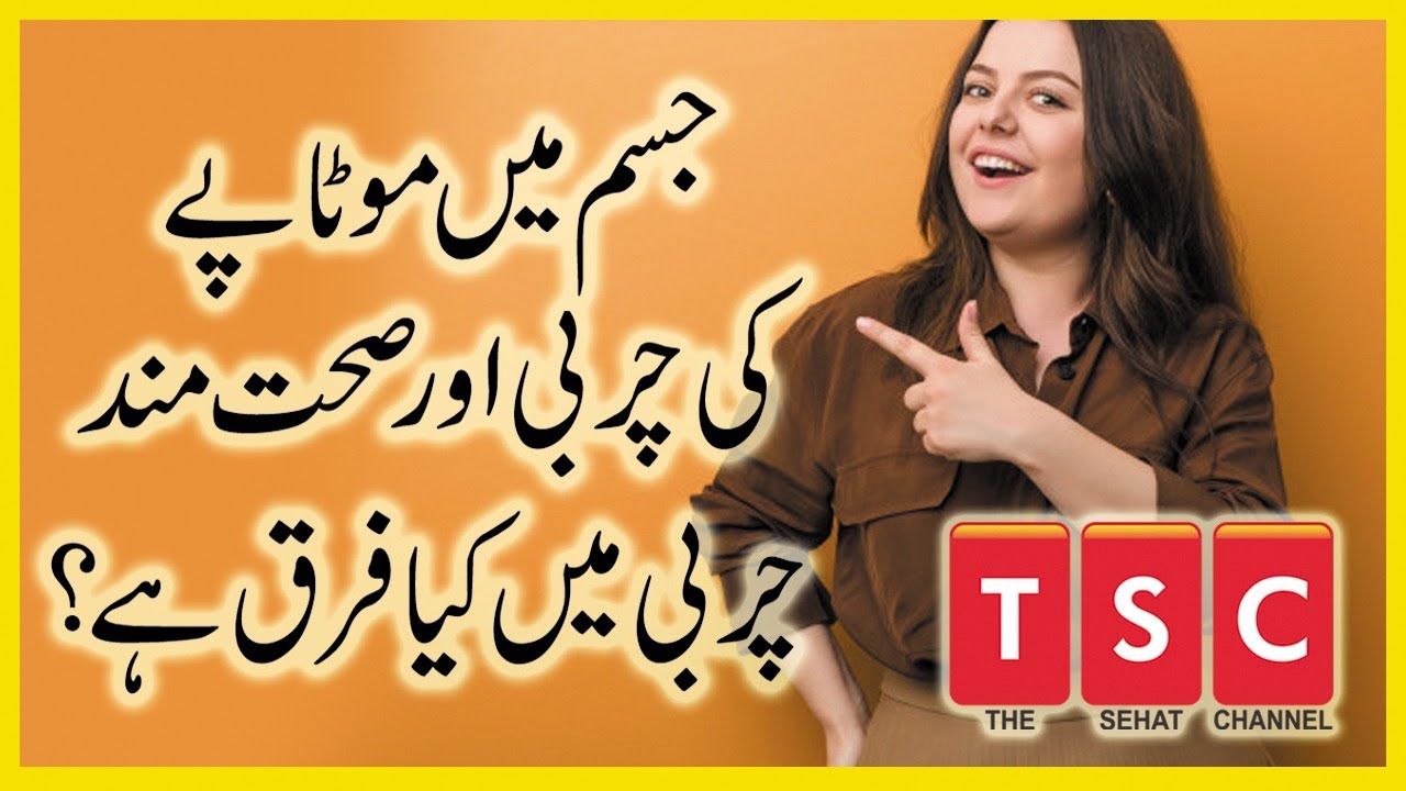 Types of Fats in our body UrduHindi YouTube