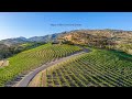 Cyd Greer presents Napa Valley Vineyard Estate $18,000,000.