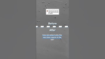 Can you filter a sperm sample? #ivf #science