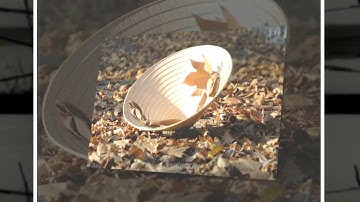 Lê Dung - Chiếc Lá Cuối Cùng