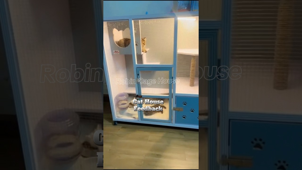 Seticfied Client's Feedback ❤️. 