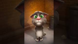 Talking Tomhttps://o7n.co/Tom