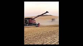 2x CaseIH 45ft + Steiger 420 !!!