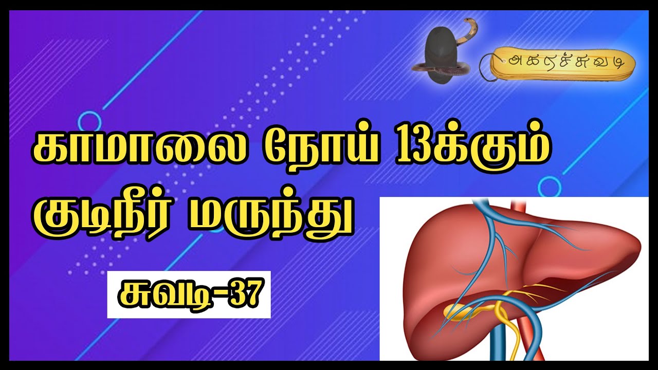 காமாலை நோய் 13க்கும் குடிநீர் மருந்து | சுவடி-37