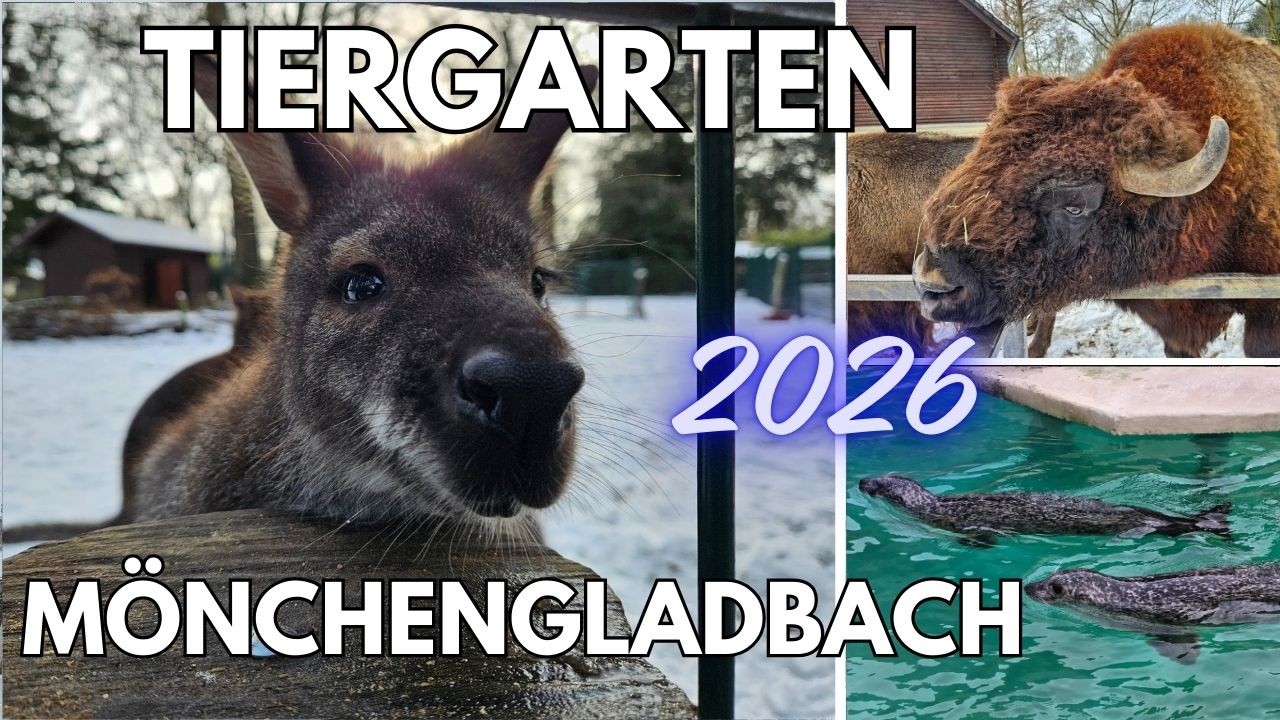 Tiergarten Mönchengladbach 2026 - Rundgang durch den Zoo bei Schnee im Winter mit tollen Tiervideos!