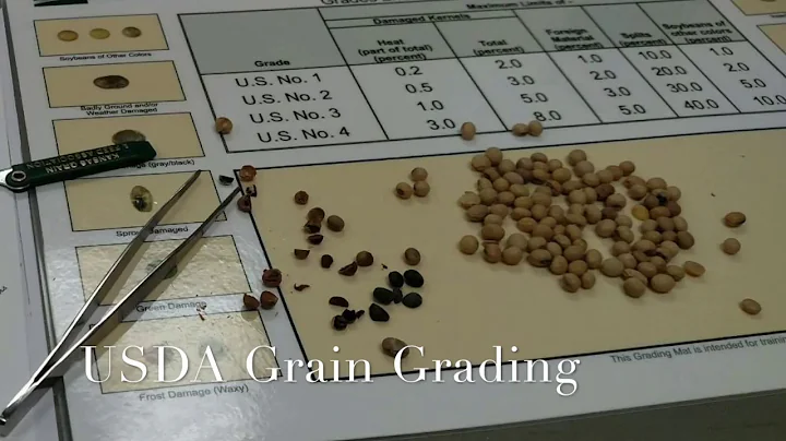 USDA Grain Grading-Wheat