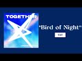 TXT Bird Of Night 1 HOUR TXT Bird Of Night 1 HOUR