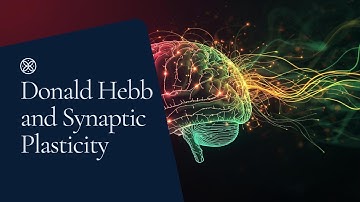 Hebbian Learning | How the brain learns and FORGETS!!!