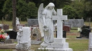 Resurrection Cemetery Mausoleum Dove Service 971 703-4918