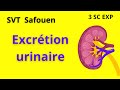 Excrtion urinaire 3sc exp