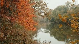Musik relaksasi ll keindahan alam  musim gugur di jepang
