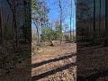 #treecutting