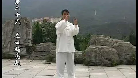 刘瑞先生演练赵堡承架太极拳75式 - 天天要闻