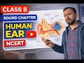 📘 Class 8 Science | Sound Chapter | Human Ear (NCERT Explained)