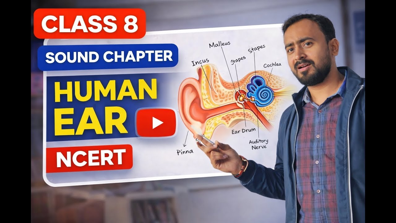 📘 Class 8 Science | Sound Chapter | Human Ear (NCERT Explained)