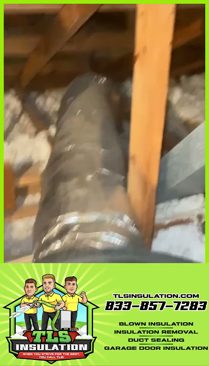 Job job_3233010dfb1f443a943e19bd5be7cec4 - Video 1 #shorts