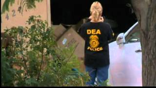 a dozen homes, businesses raided by DEA