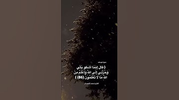 {قال إنما أشكو بثي وحزني إلى الله} #سورة_يوسف #تلاوة_خاشعة #محمد_اللحيدان #قرآن #quran #تلاوات