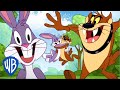 Looney Tunes en Latino | La cita de juegos de Taz | WB Kids