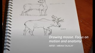 Scientific Illustration with Miriam Talalay: PART 4