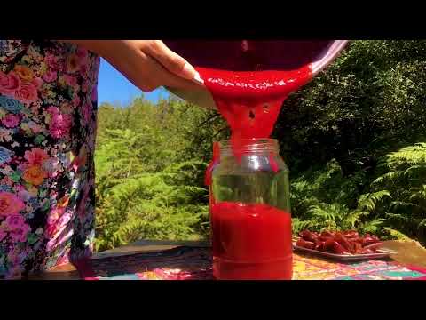 رب آلوچه ترش و خوشمزه Plum Paste Sour Delicious Traditional Iranian Sour Sauce