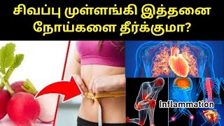 Health Benefits of Red Radish | சிவப்பு முள்ளங்கி  நன்மைகள் #superfood