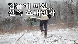 숲속에 가려진채로 이상하게 생긴 용도를 알수없는 건물