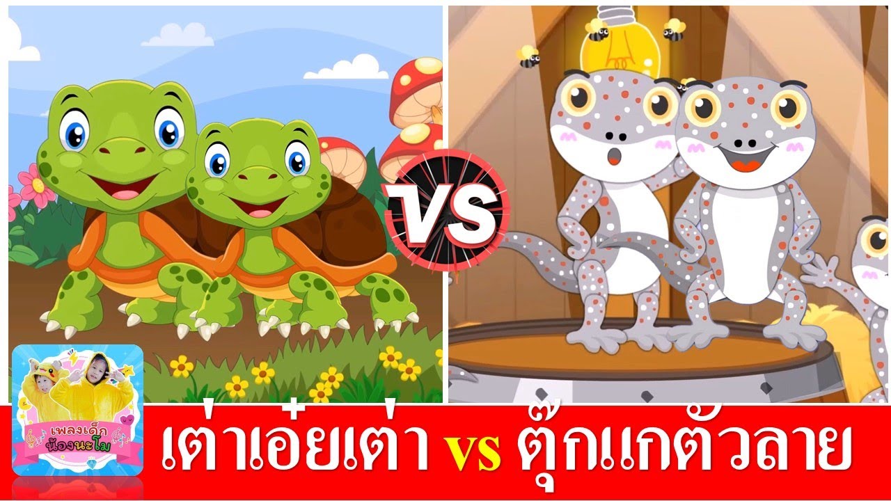 เต่าเอ๋ยเต่า vs ตุ๊กแกตัวลาย