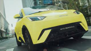 Electrify Your First with the BYD SEAGULL