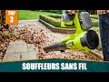 Les meilleurs souffleurs  feuilles sans fil  comparatif