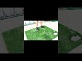 "Impossible Golf Precision Shot: Hitting 1 Ball Between 3!"#golf