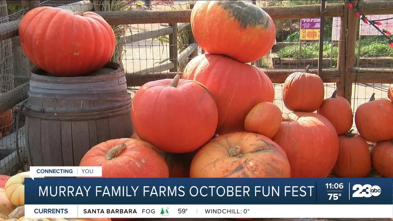 Murray Family Farms October Fun Fest YouTube