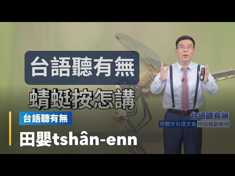 【台語聽有無】「蜻蜓」相關台語按怎講｜台語新聞 #鏡新聞