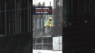 Unemployment, Underemployment Drop In November 2024 Amid Holiday Season