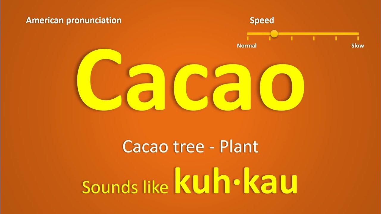 How to pronounce Cacao How to say Cacao American pronunciation