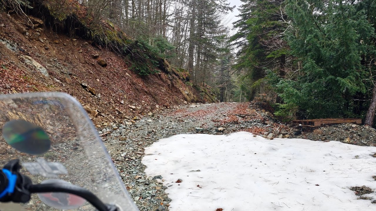 Μεταλλεια- Πατωμενη (Καλλιπεύκη )!!! NX500 honda!