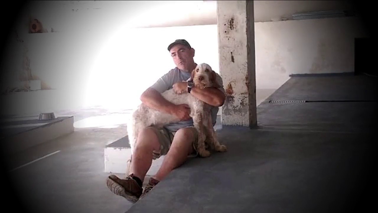 Meopatacca Di Rimnis