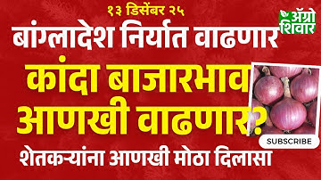 kanda bajar bhav | बांगला देश कांदा निर्यात वाढल्यावर भाव किती होणार